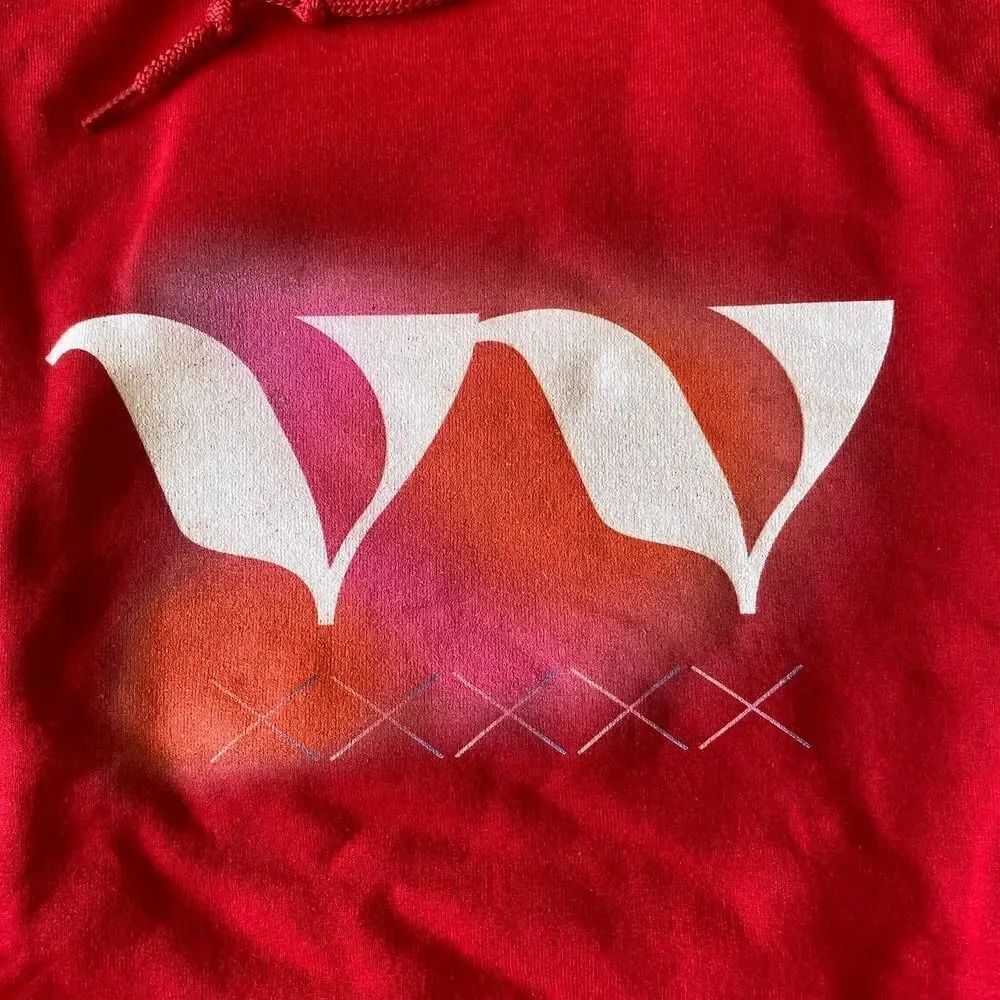 Low Earth Hoodie Red Large - Picture 2 of 5